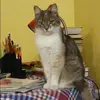 Отзыв от Лера Булгакова